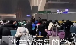 石家庄高校爆料事件视频,真相与争议交织